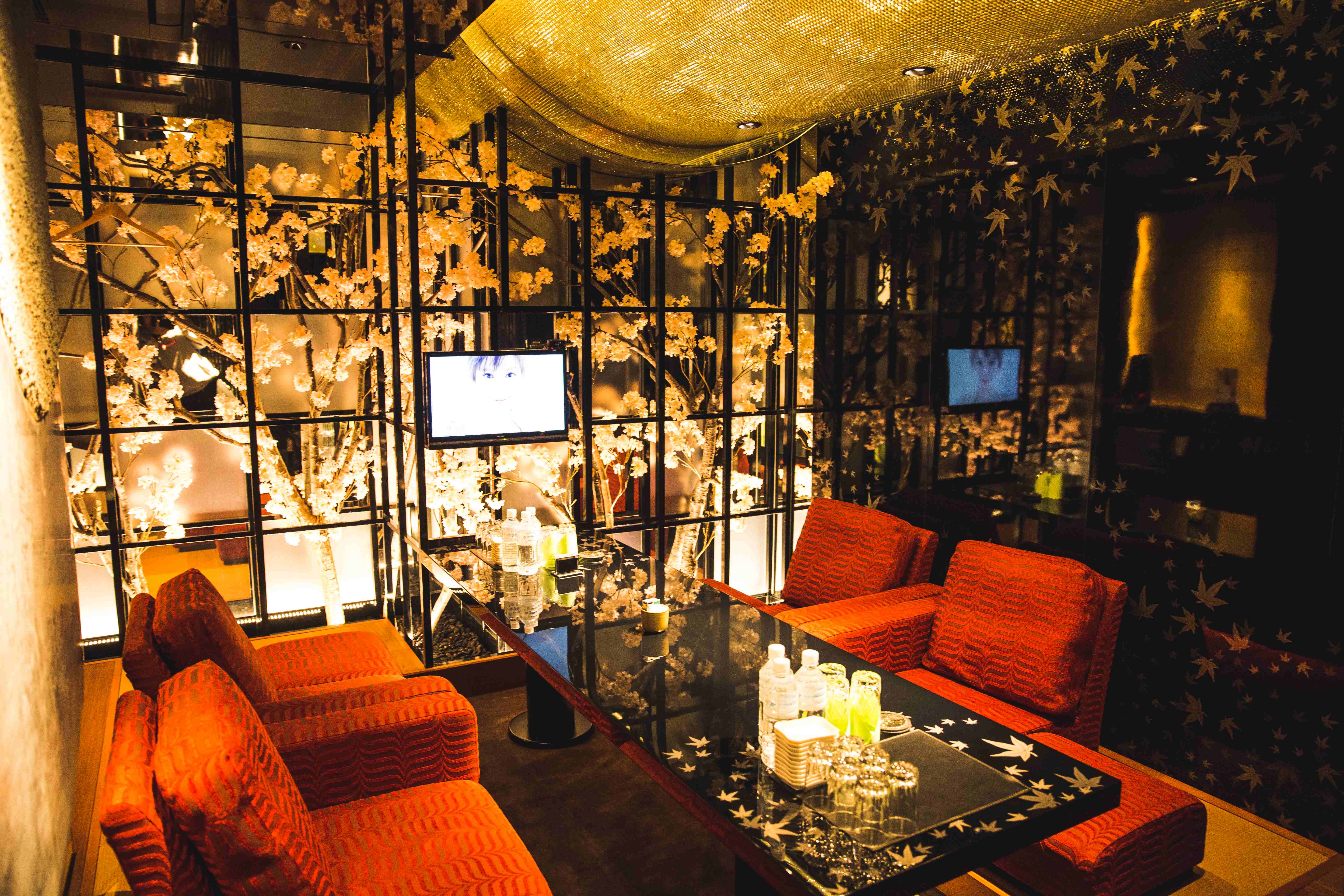 VIP ROOM1