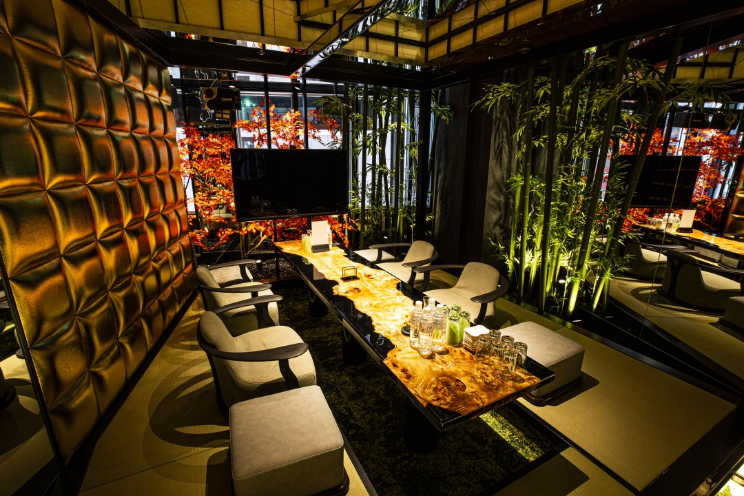 VIP ROOM4